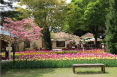 かんてんぱぱガーデン