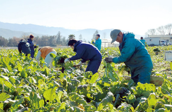 農園事業（ぱぱな農園）