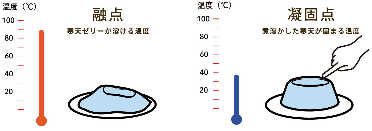 寒天と温度について