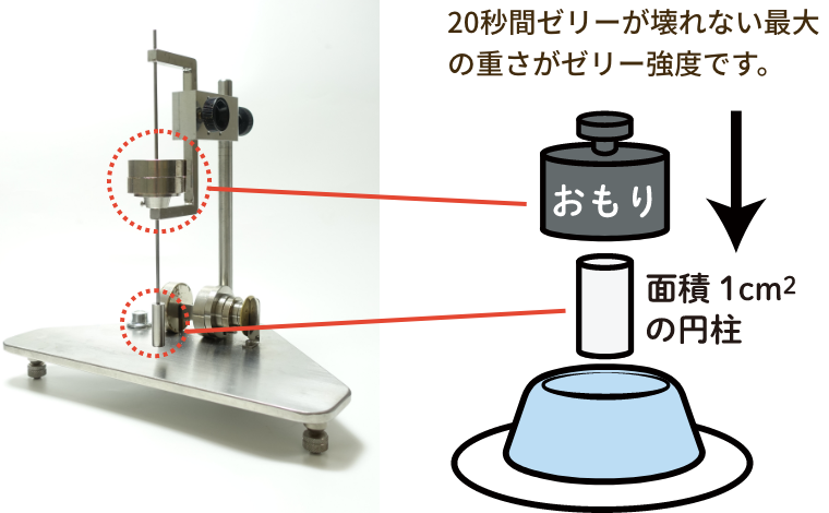 ゼリー強度測定器